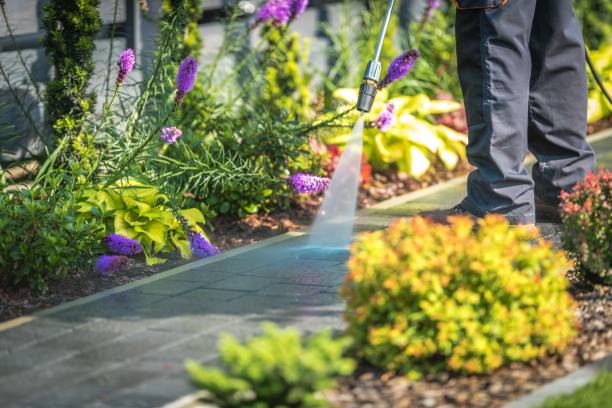 Best Patio and Deck Pressure Washing  in Easton, PA