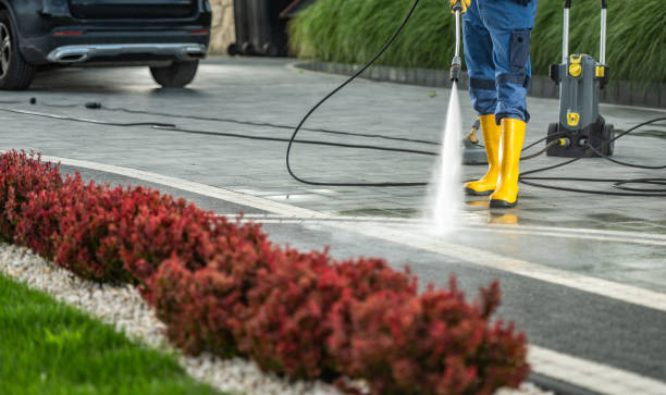 Best Sidewalk and Walkway Cleaning  in Easton, PA
